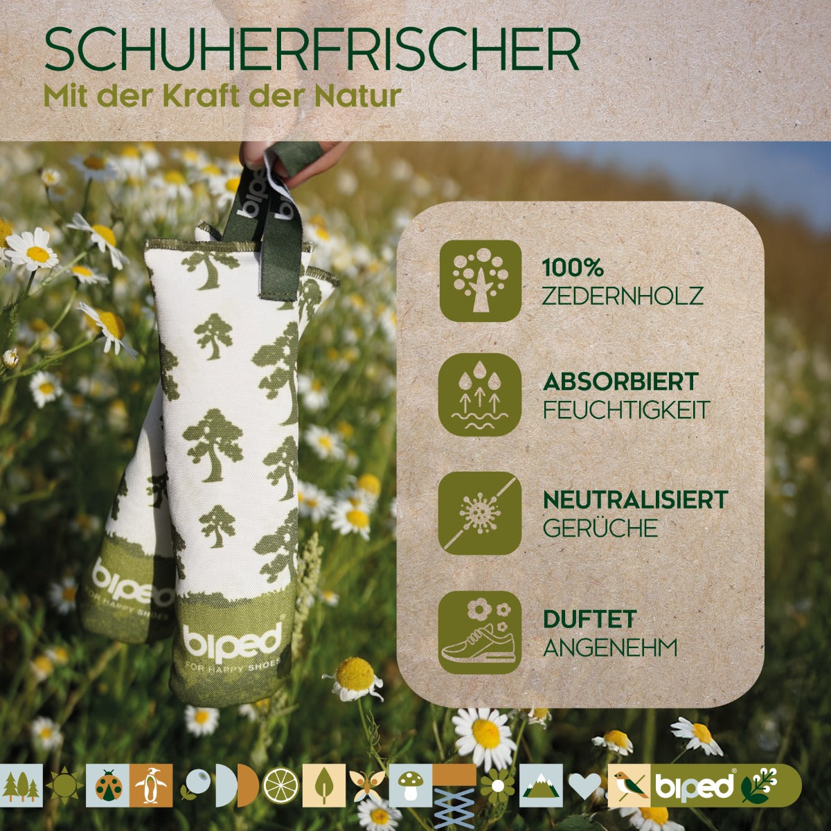biped natural Schuhkissen aus Zedernholz z2927