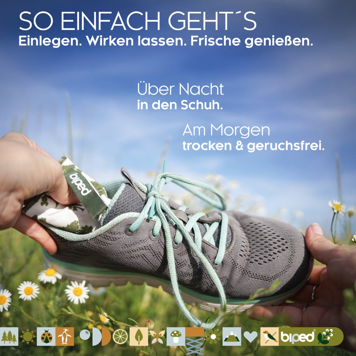 biped natural Schuhkissen aus Zedernholz z2927