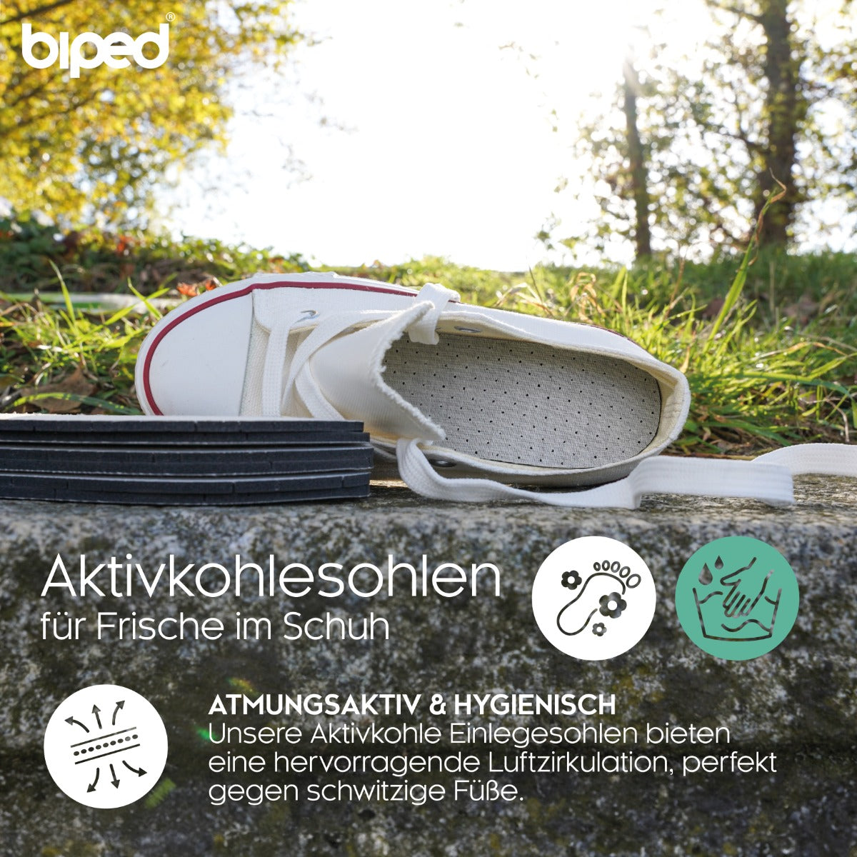 biped 3 Paar Kinder Aktivkohle Latex Einlegesohlen z2768