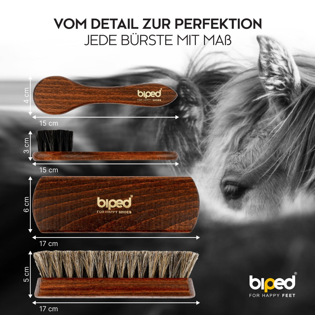biped 4-teiliges Schuhbürsten Set Classic Edition - Rosshaarbürsten in Geschenkbox z2487