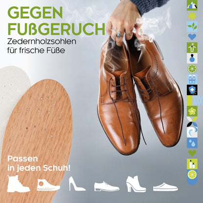 biped Zedernholz Schuheinlagen - Antibakterielle Einlegesohlen z2327