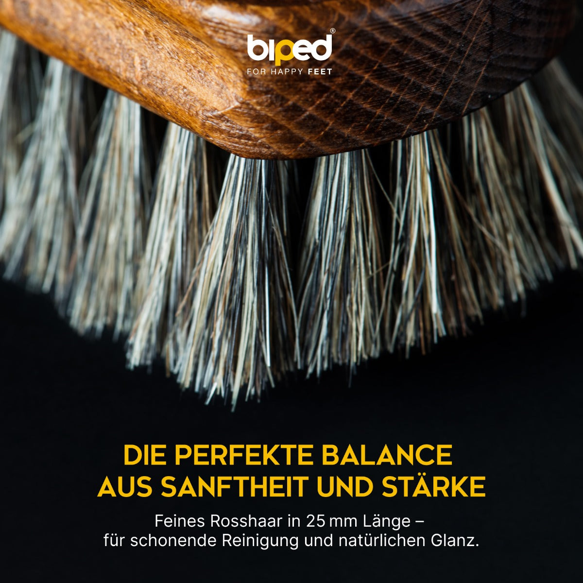 biped 4-teiliges Schuhbürsten Set Classic Edition - Rosshaarbürsten in Geschenkbox z2487