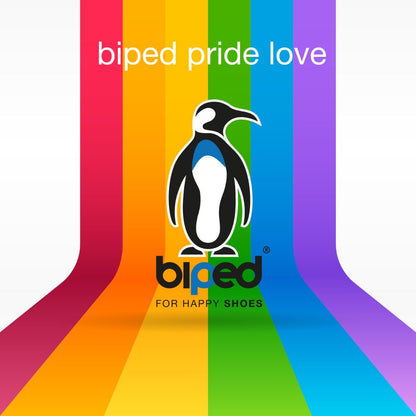biped PRIDE FLAG Set (6 Stück) Schuhanzieher mit Haken 50 cm z1558